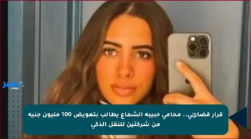 قرار قضائي.. محامي حبيبة الشماع يطالب بتعويض 100 مليون جنيه من شركتين للنقل الذكي